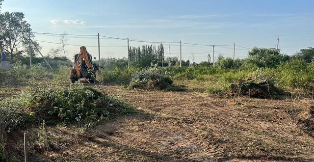земля г Белореченск Белореченское городское поселение, Кленовая аллея фото