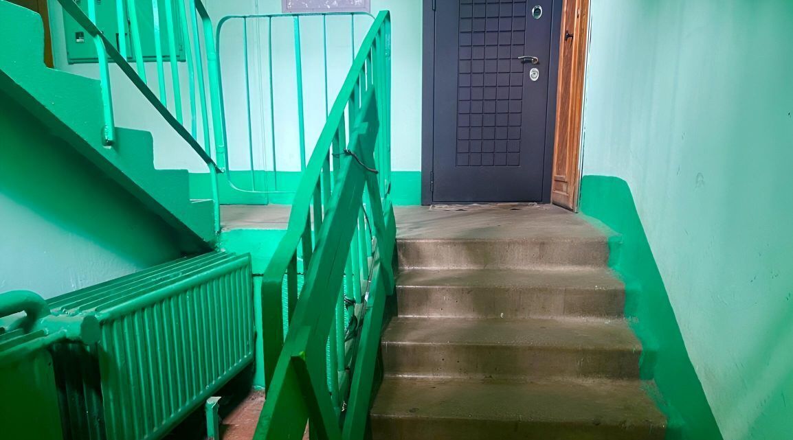 квартира г Санкт-Петербург п Металлострой ул Садовая 18 метро Рыбацкое фото 18