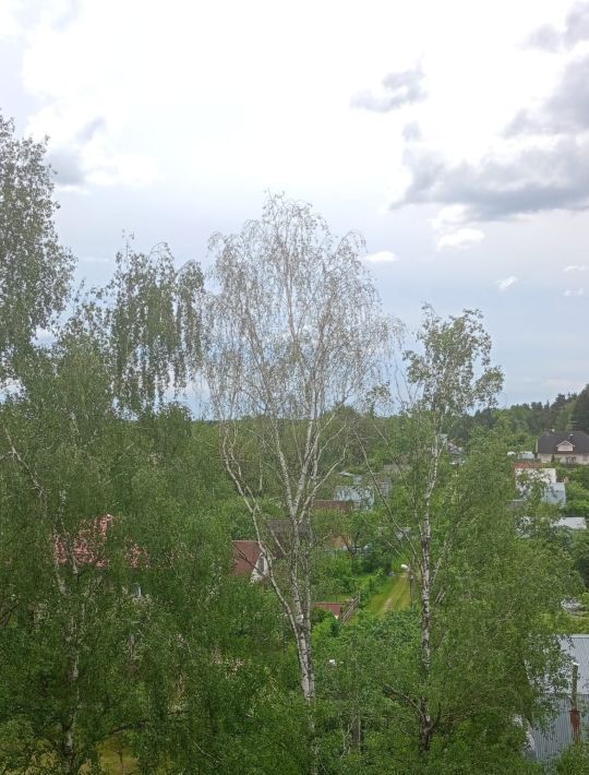 квартира городской округ Богородский г Ногинск снт Изотоп 32, 142451, Старая Купавна фото 1