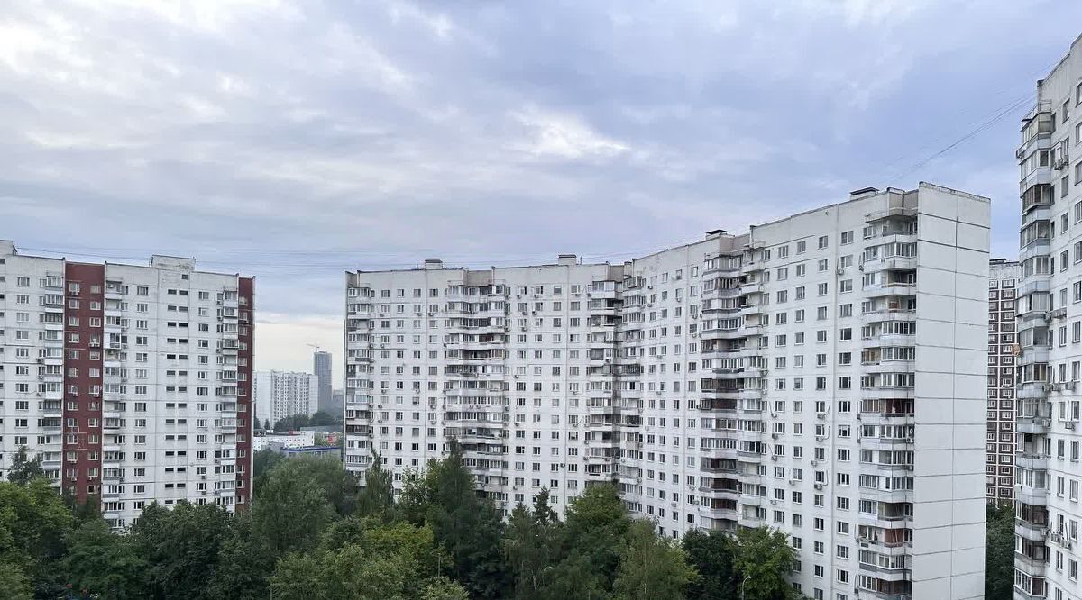 квартира г Москва метро Проспект Вернадского ул Раменки 25к/2 фото 28