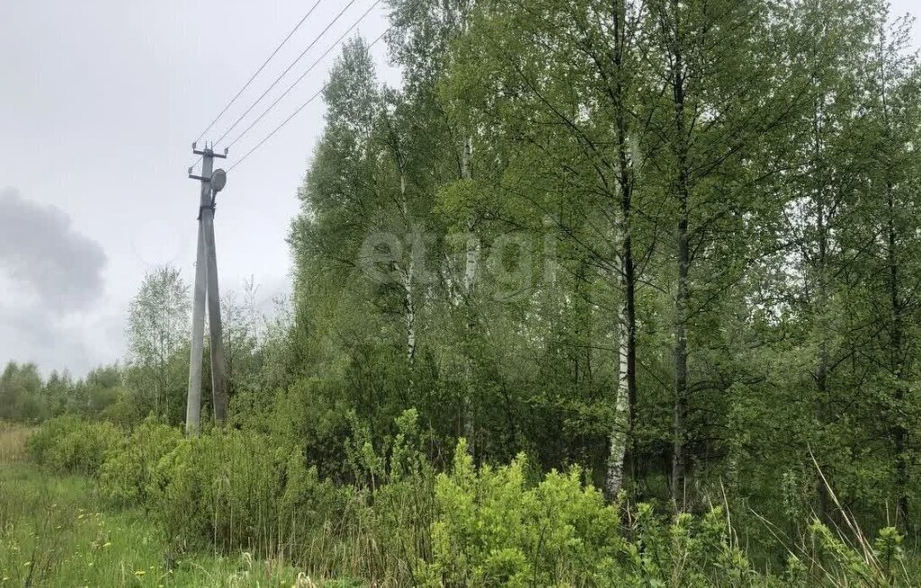 земля г Дубна снт Репка 81, Дмитровский муниципальный округ фото 2