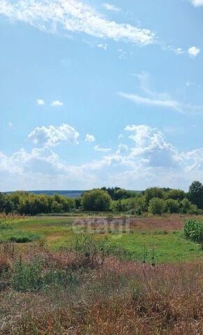 ул Школьная фото