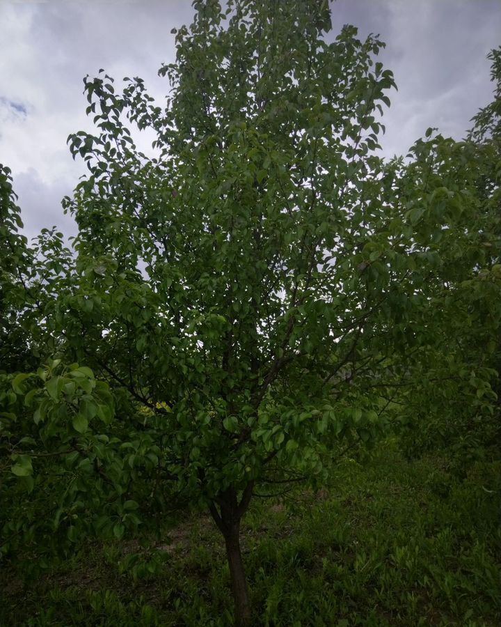 дом г Волжск сад Луговое 735 фото 17
