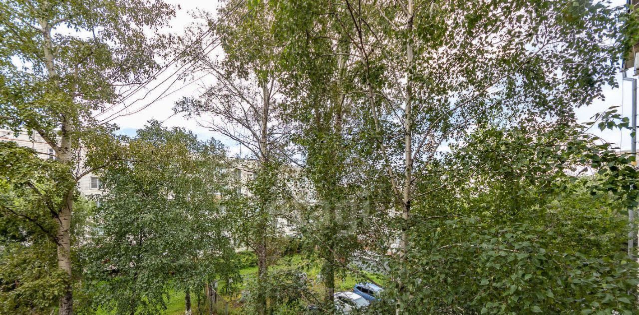 квартира г Хабаровск р-н Железнодорожный ул Краснодарская 43 фото 24