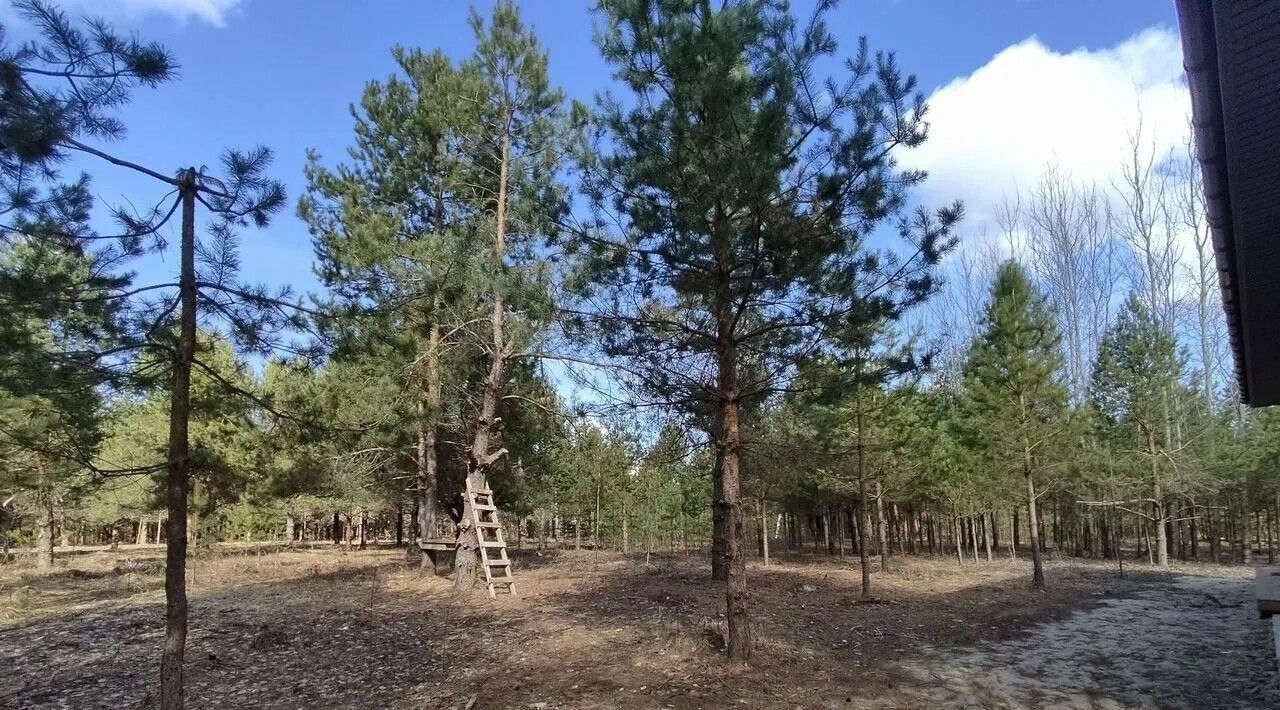 дом г Бор д Ивановское (Краснослободский с/с) фото 12