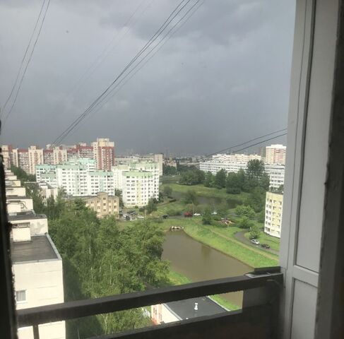 метро Проспект Ветеранов ул Генерала Симоняка 10 фото