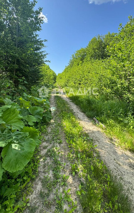 земля г Южно-Сахалинск снт тер.Метеоролог фото 3