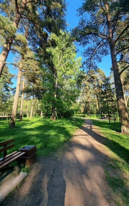 квартира г Сестрорецк ул Инструментальщиков 21 Беговая фото 15