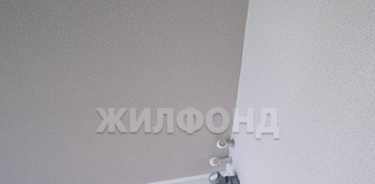 квартира г Новосибирск ул Междуреченская 3 Площадь Ленина фото 12
