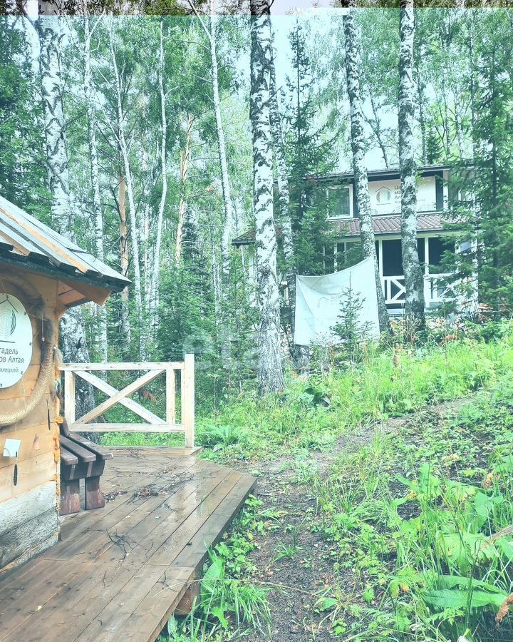 земля г Белокуриха фото 38