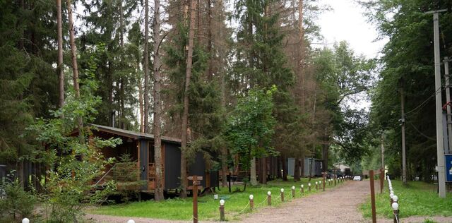 Приморское городское поселение, Тишь да гладь кп, ул. Лесная фото