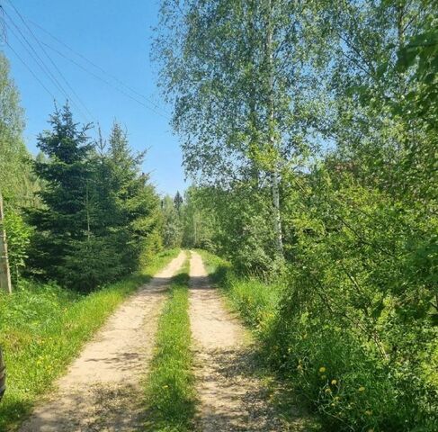 47, д. Потапово фото
