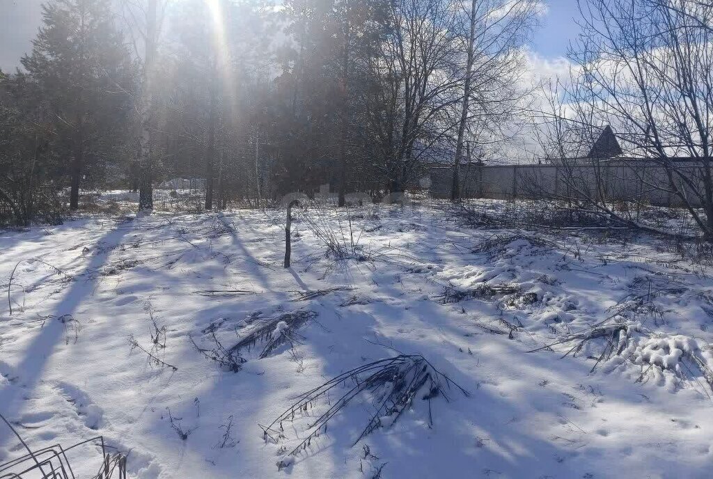 земля г Брянск СНТ Родничок фото 4