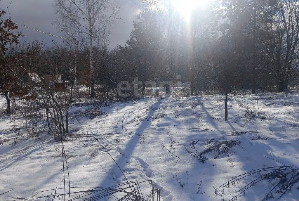 земля г Брянск СНТ Родничок фото 2