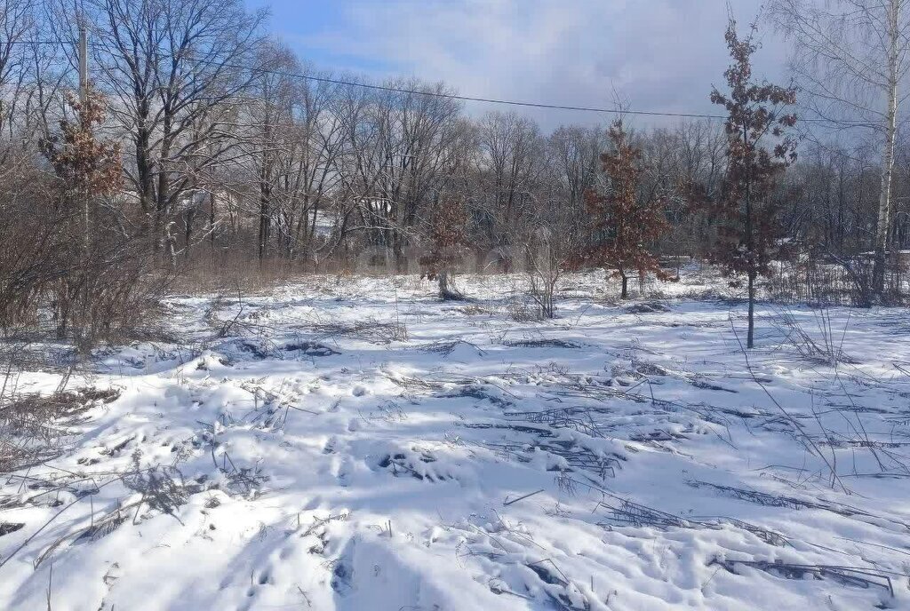 земля г Брянск СНТ Родничок фото 5