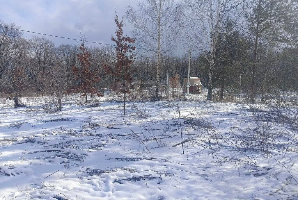 земля г Брянск СНТ Родничок фото 6