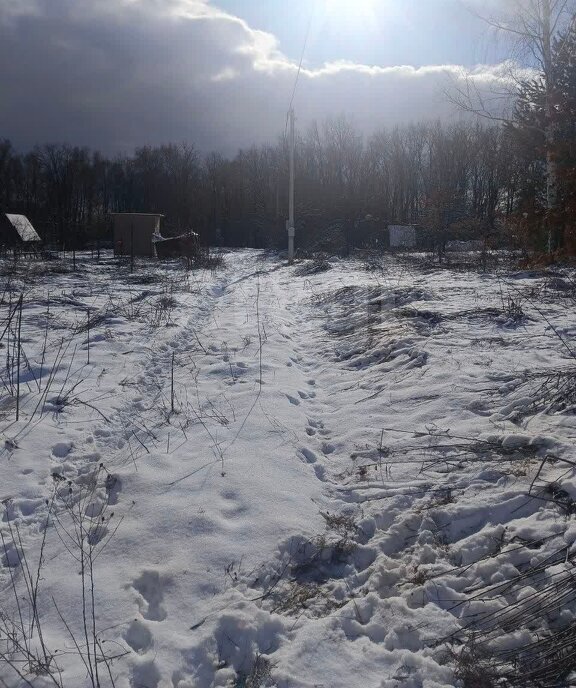 земля г Брянск СНТ Родничок фото 12