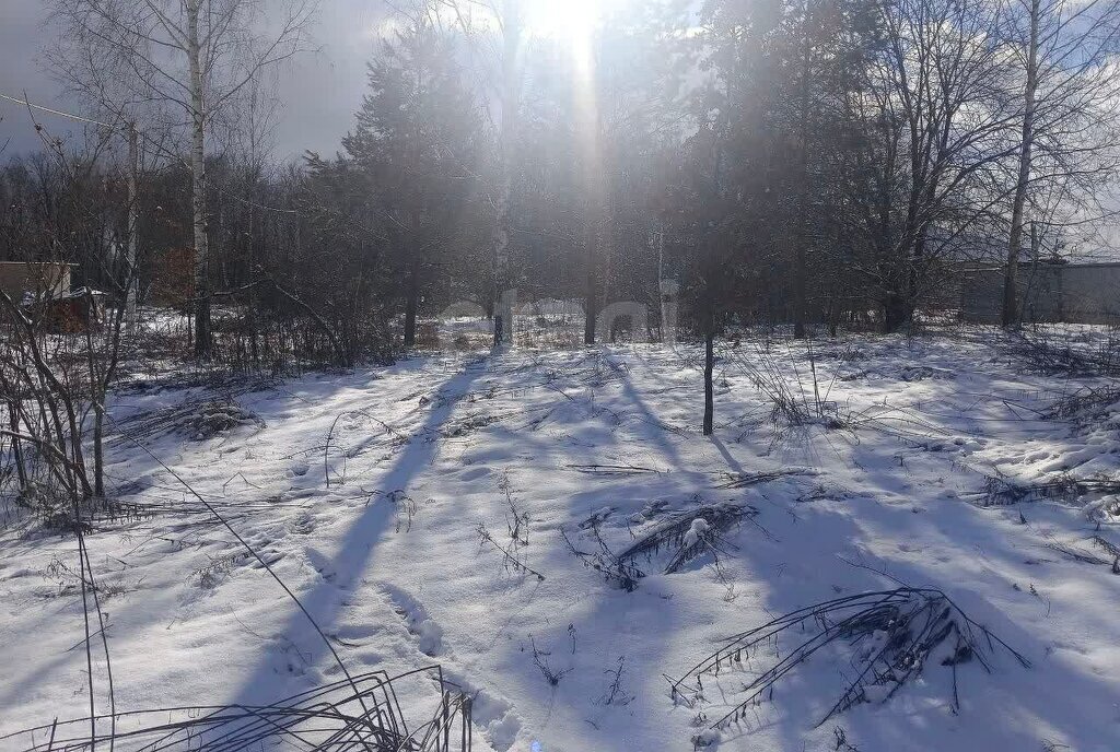 земля г Брянск СНТ Родничок фото 11
