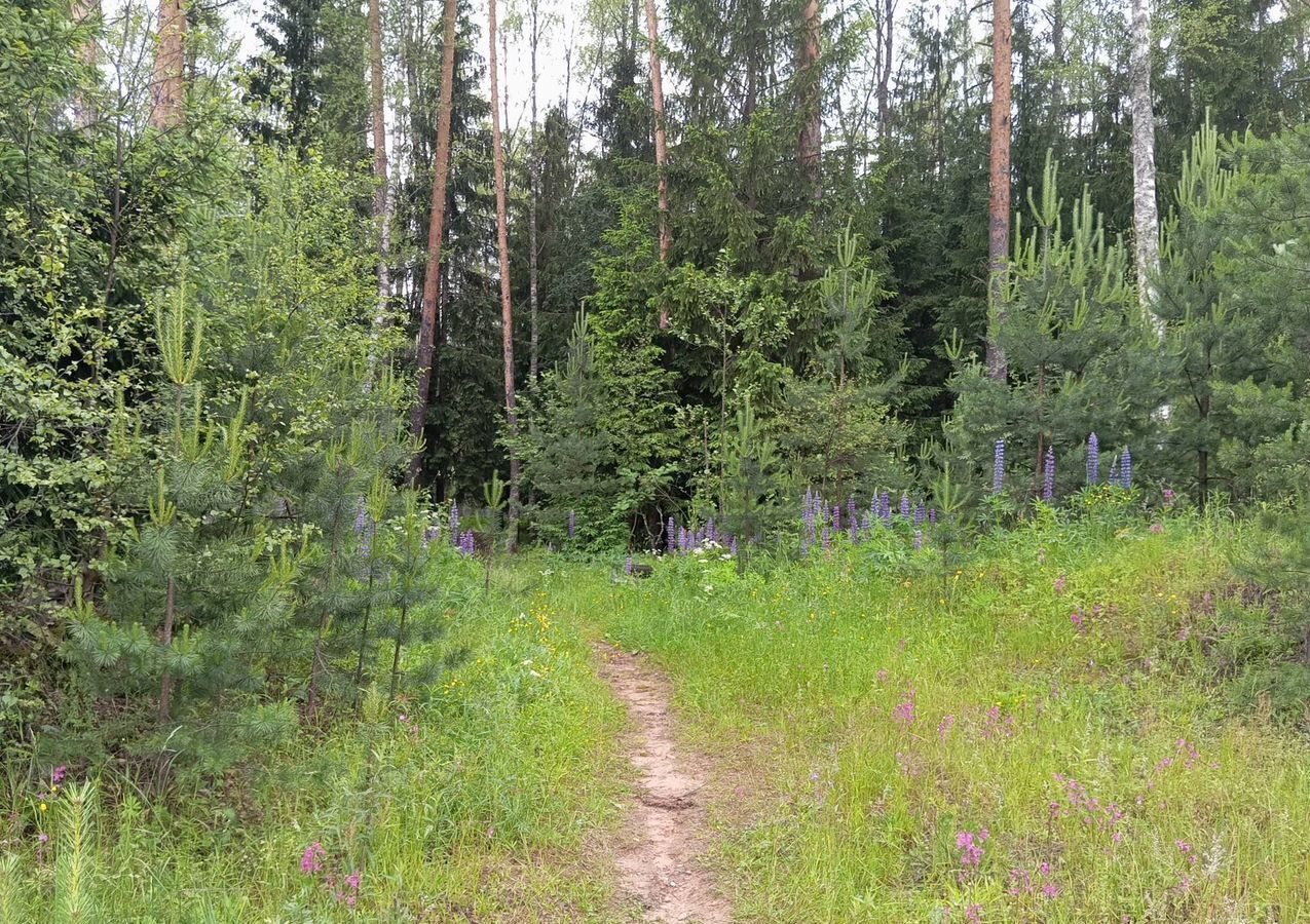 дом городской округ Сергиево-Посадский г Краснозаводск 73 км, 193, садоводческое некоммерческое товарищество Загорье, Ярославское шоссе фото 29