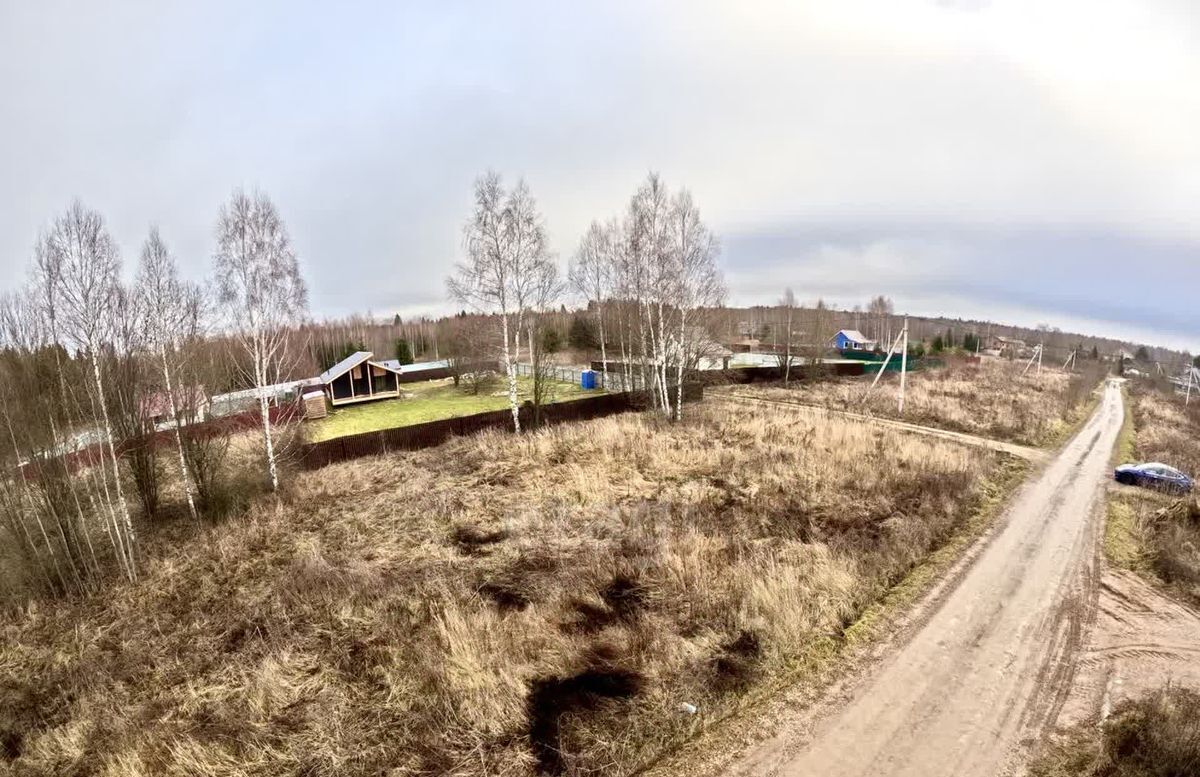 земля г Клин Подсолнухи кп фото 5
