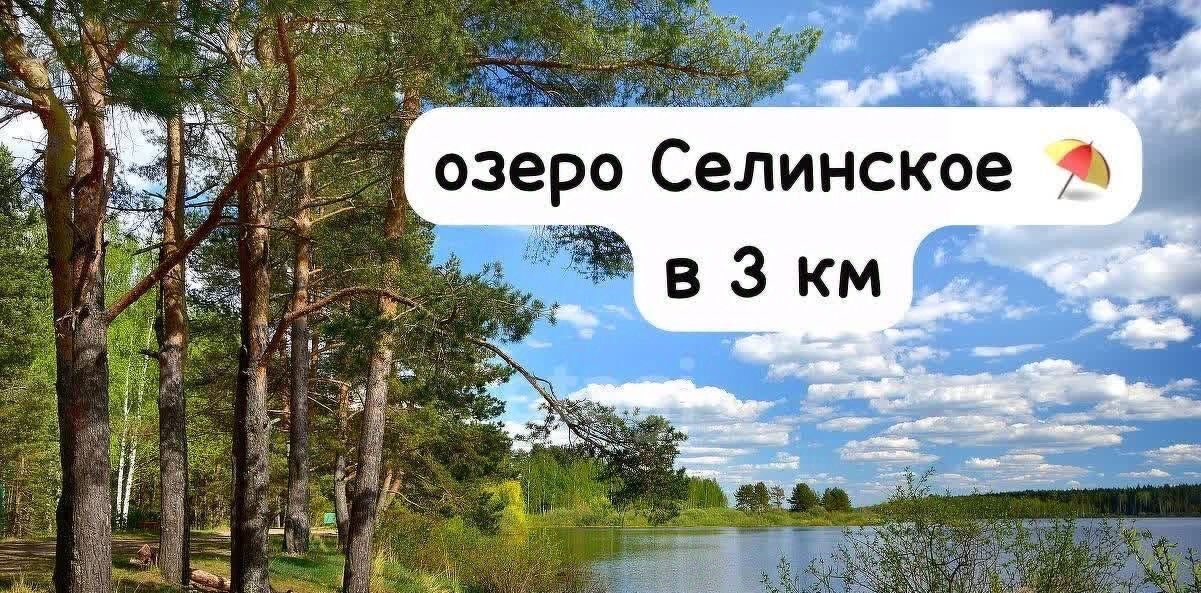 земля г Клин Подсолнухи кп фото 10