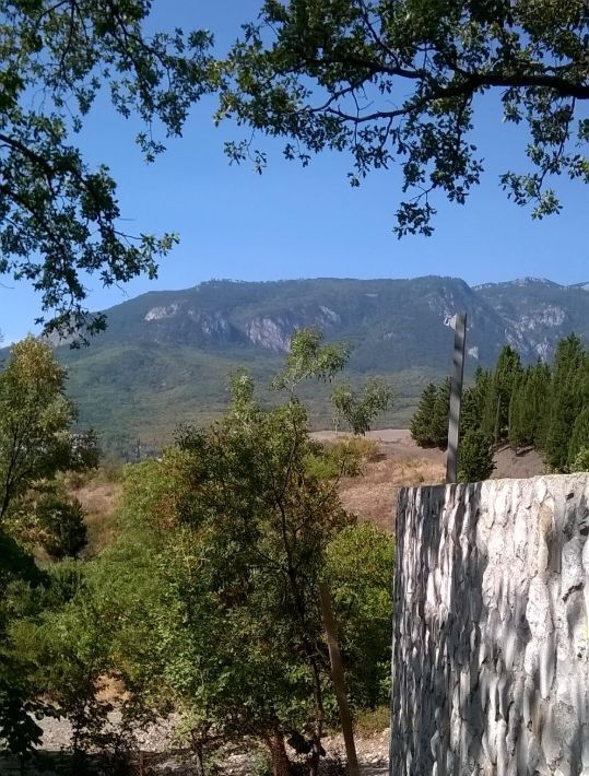 земля г Ялта пгт Гурзуф фото 2