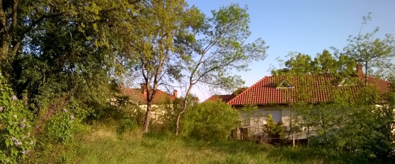 земля г Ялта пгт Гурзуф фото 3