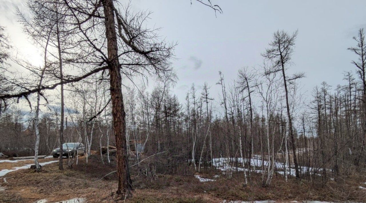 земля г Якутск Покровский тракт, 16-й км фото 3