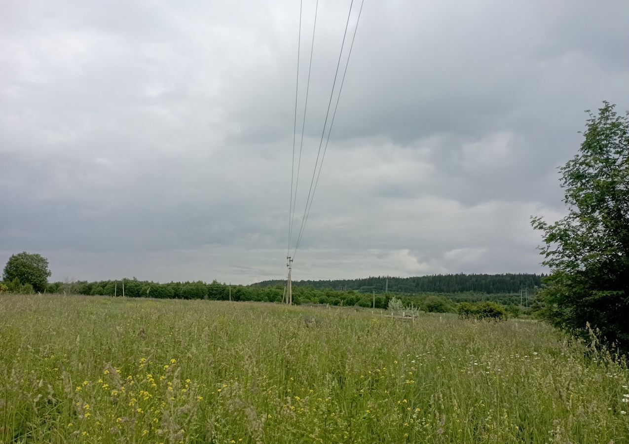 земля г Чусовой п Лямино д Мартелово ул Нагорная фото 4
