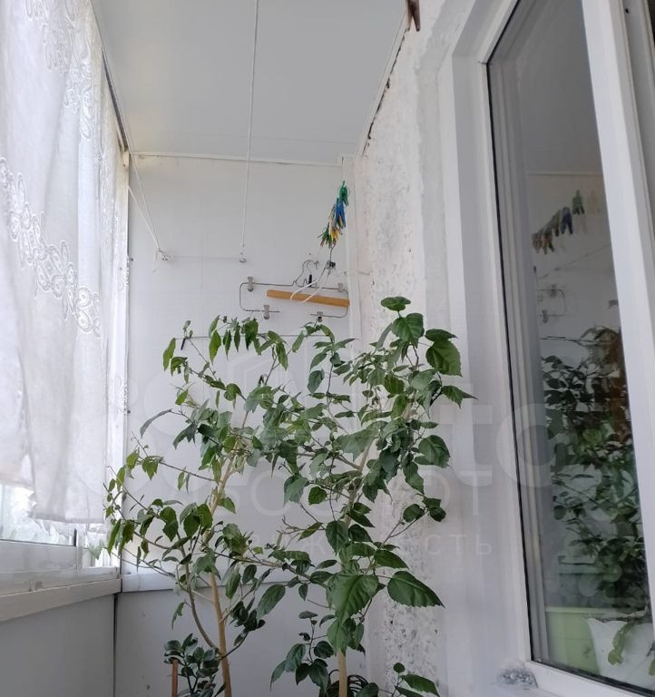 квартира городской округ Сергиево-Посадский г Хотьково ул Горжовицкая 12 фото 4