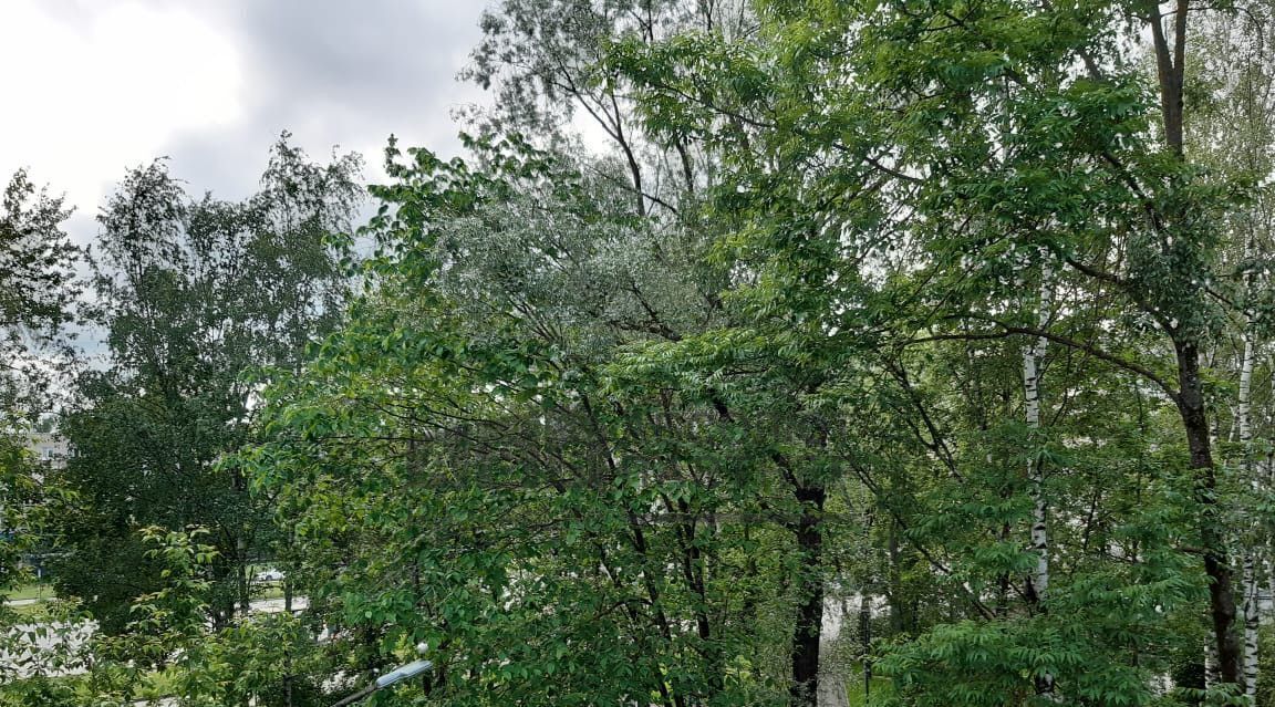 квартира г Великий Новгород пр-кт Мира 27 фото 7