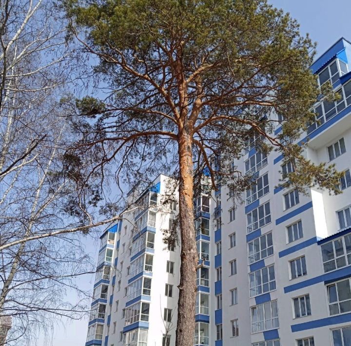квартира г Барнаул р-н Центральный тракт Змеиногорский 35а/2 фото 15