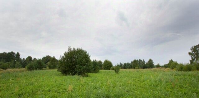 земля д Лухтоново днт Барский луг Лавровское муниципальное образование, ДНТ, 30 фото