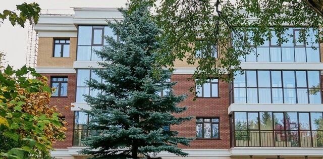 ул Белинского 48 фото