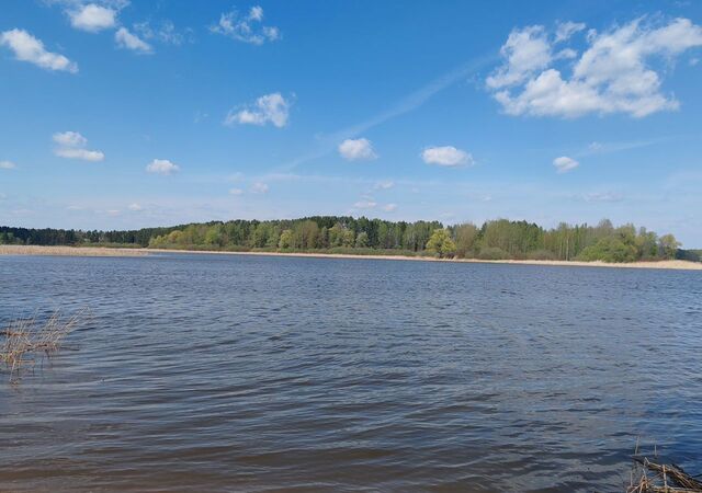 41 км, Истра, Пятницкое шоссе фото