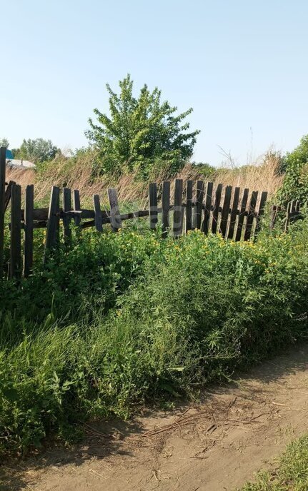 земля г Бийск 31-й квартал садоводство Олеумщик фото 1