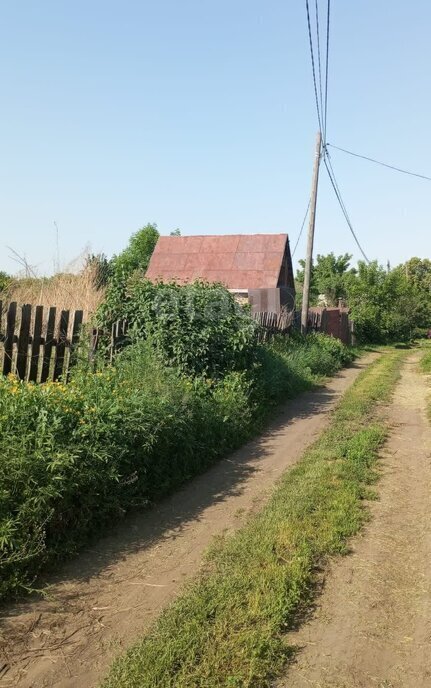 земля г Бийск 31-й квартал садоводство Олеумщик фото 2