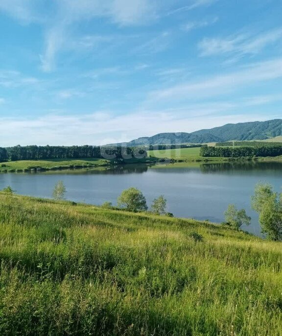 земля г Бийск фото 3