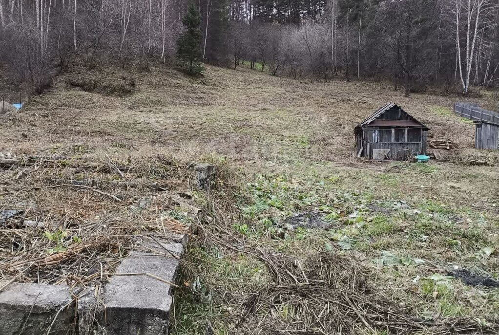 земля г Белокуриха ул Бажова фото 3