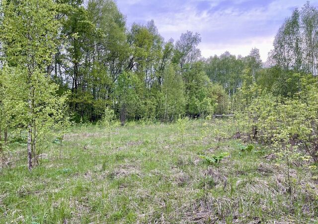 р-н Кстовский п Садовский Нижний Новгород фото