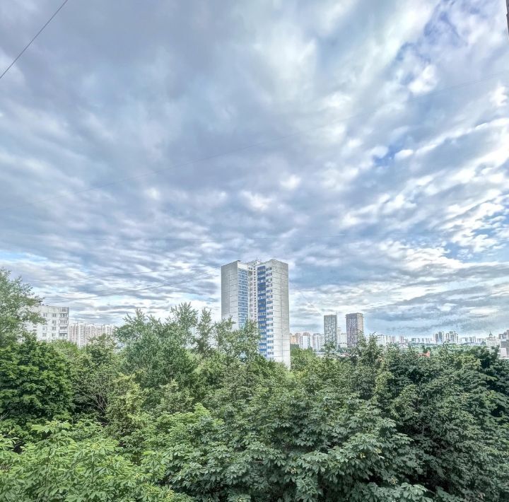 квартира г Москва метро Раменки пр-кт Мичуринский 54к/3 муниципальный округ Раменки фото 23