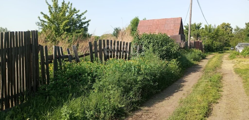 земля г Бийск 31-й квартал садоводство Олеумщик фото 7