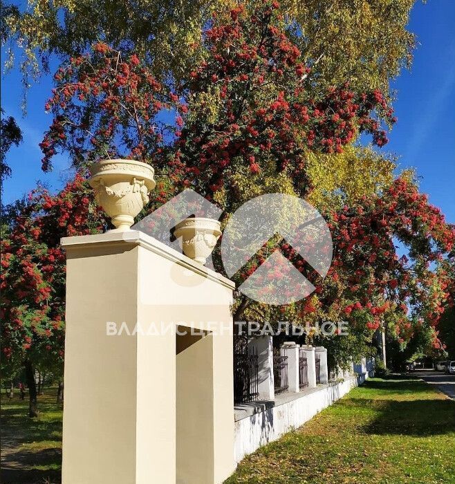 квартира г Новосибирск р-н Ленинский пер 2-й Пархоменко 10 Площадь Маркса фото 6