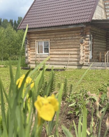 67 км, Кедровая ул, Руза, Новорижское шоссе фото