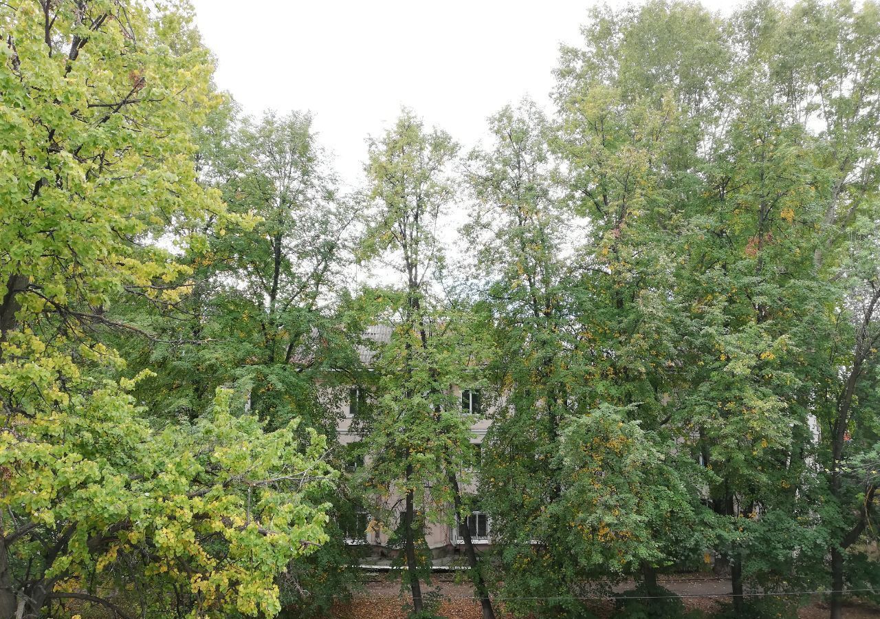 квартира г Ульяновск р-н Засвияжский ул Горького 1 фото 12