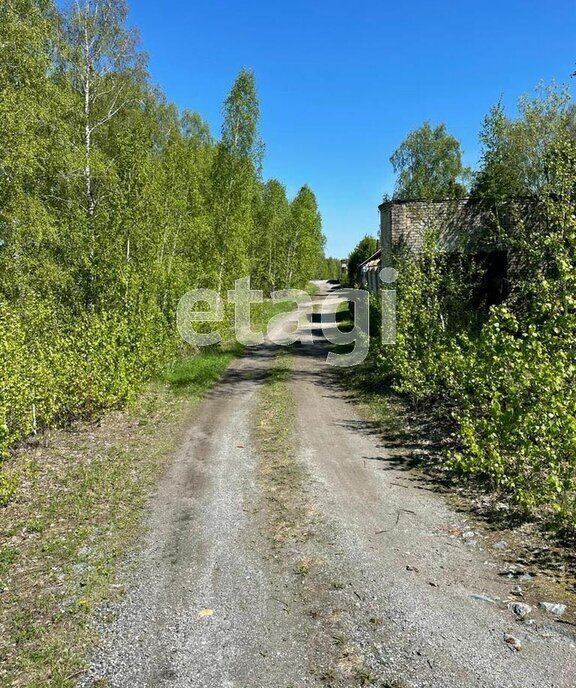 земля г Ачинск городской посёлок Мазульский фото 10