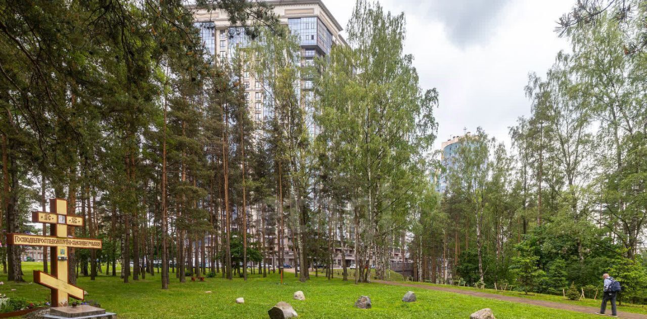 квартира г Санкт-Петербург метро Озерки пр-кт Тореза 118 округ Светлановское фото 46