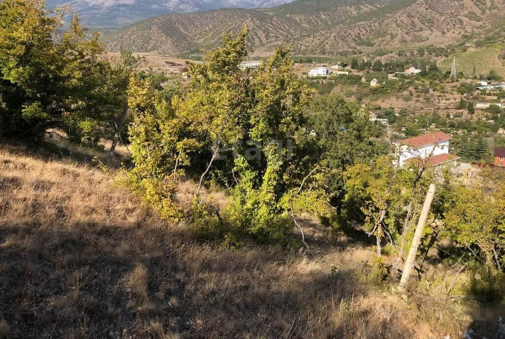 земля г Алушта с Малореченское ул Рамазанова фото 4
