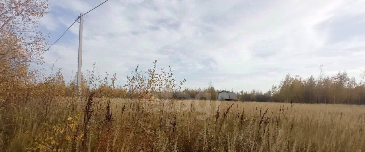 земля г Йошкар-Ола д Шоя-Кузнецово ул Грушевая фото 3