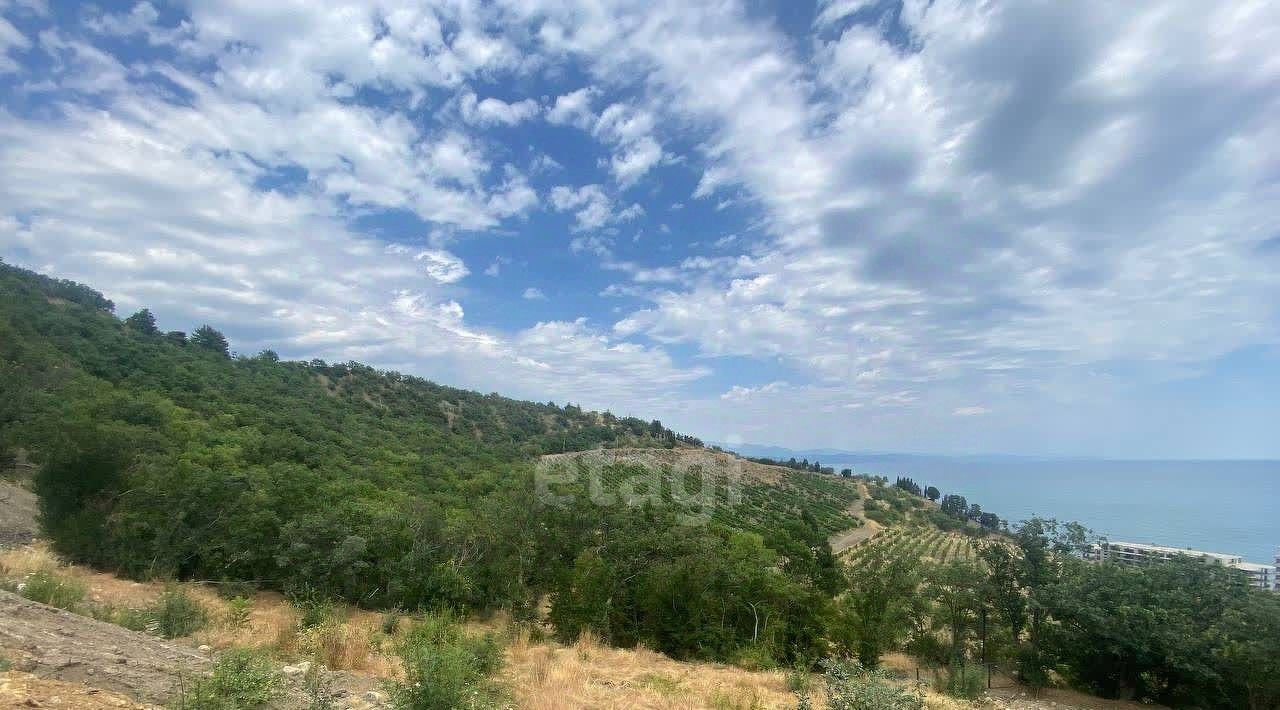 земля г Алушта с Лазурное ул Слуцкого фото 4